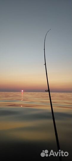 Доставка на рыбалку в Новой Ладоге