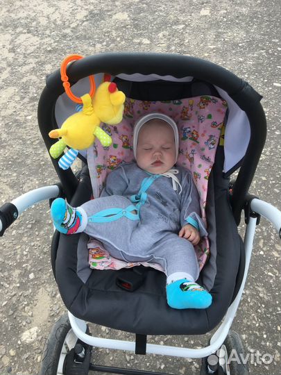 Коляска Verdi Optima 3 в 1