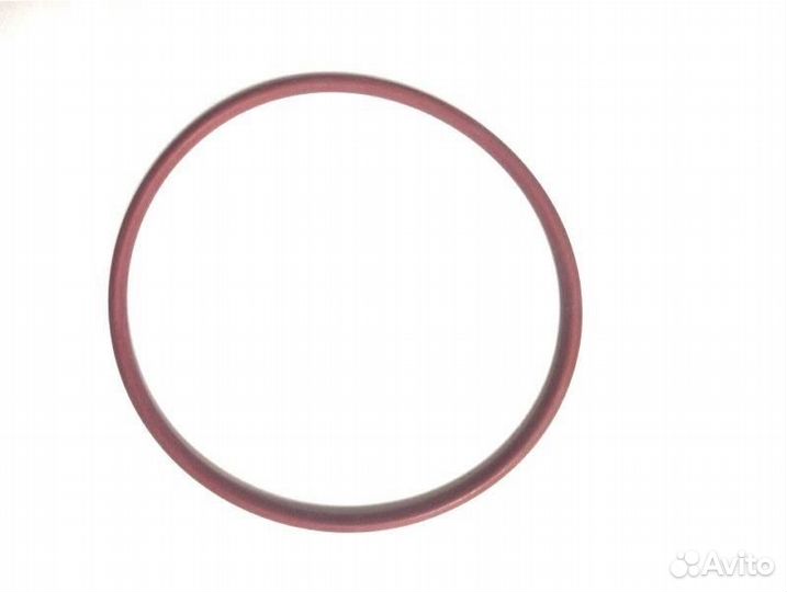 Кольцо уплотнительное (420230920)