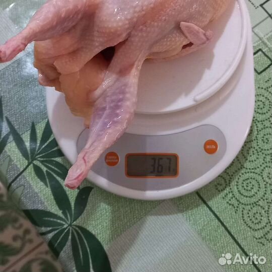 Мясо перепелов