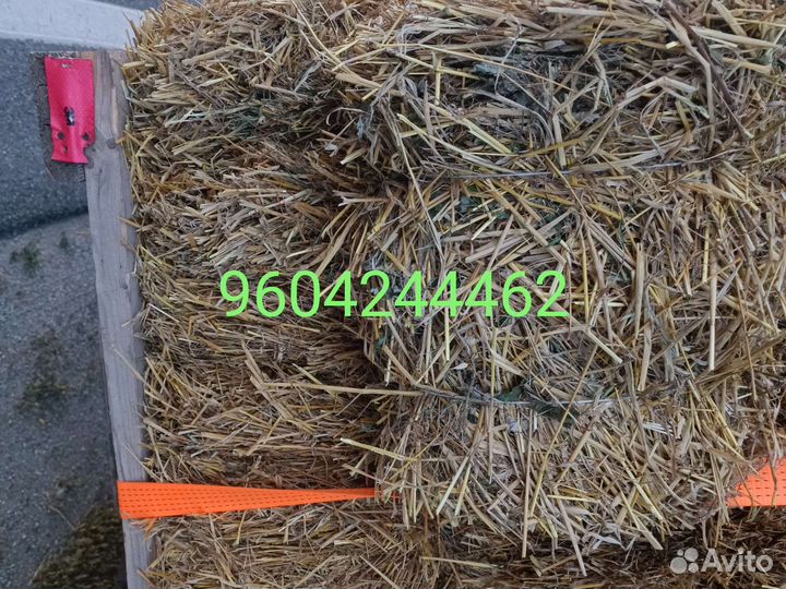 Солома ячменная в тюках