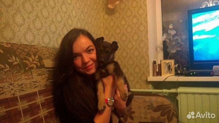 Передержка домашних животных