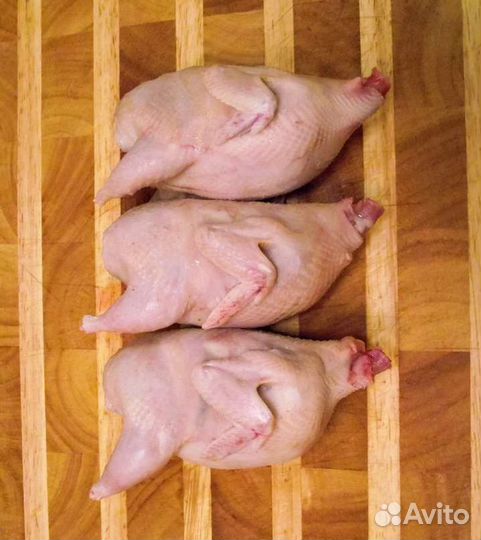 Мясо перепелов