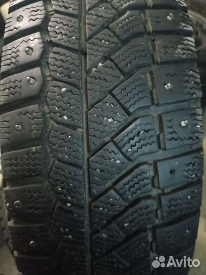 Viatti Bosco Nordico V-523 185/60 R14