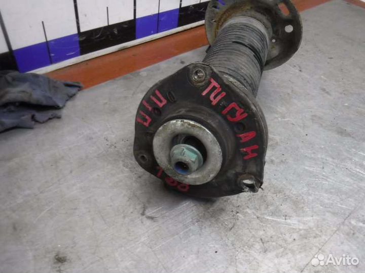 Амортизатор передний правый Volkswagen Tiguan cava