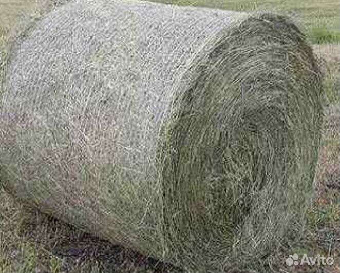 Сено доставка 2023 рулоны кипы
