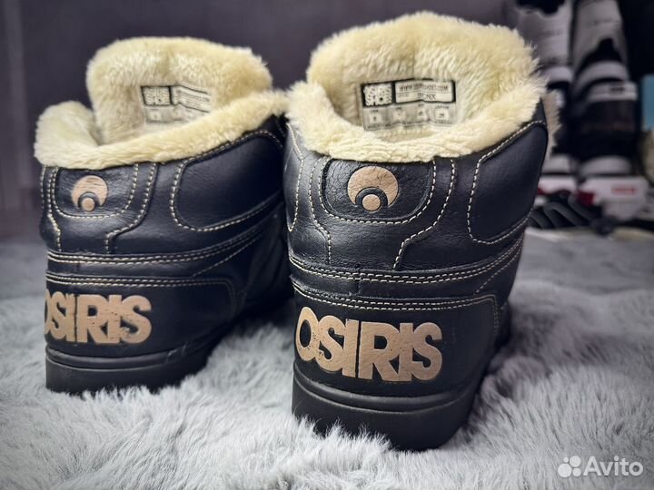 Osiris - Bronx dc adio globe dvs fallen etnies es