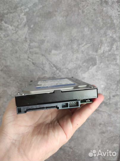 Жёсткий диск WD Blue 1 TB