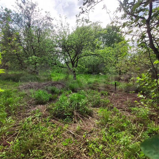 Участок 5,4 сот. (СНТ, ДНП)