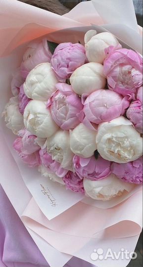 Букеты из роз 101 роза 51 201 Розы Пионы Гипсофила