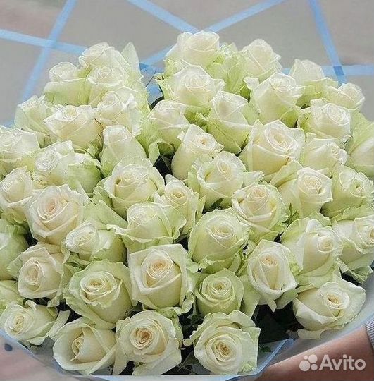 Высокие Розы Гиганты Доставка Круглосуточно