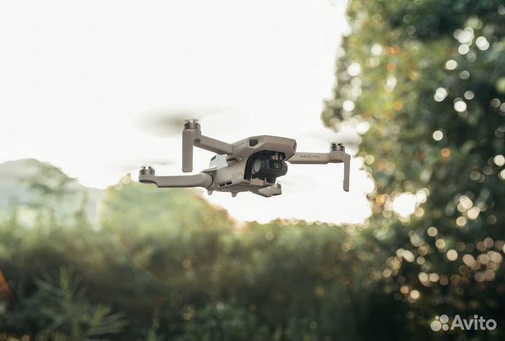 Dji mavic mini FCC версия