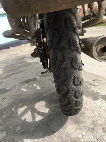 Продам вираго ирбис