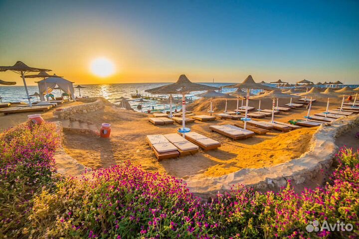 Тур путевка в Египет на 6 ночей