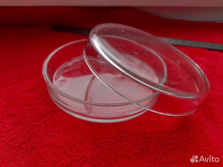 Чашки петри