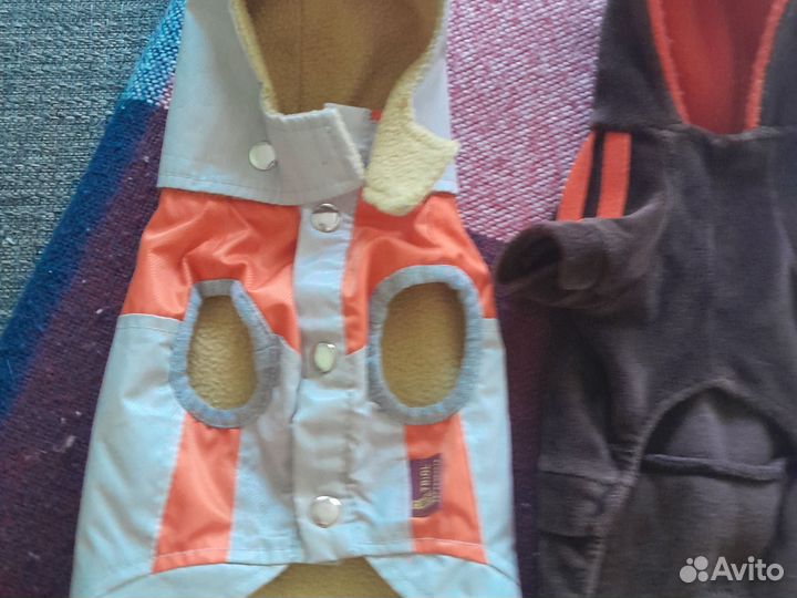 Одежда для маленьких пород собак