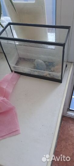 Аквариум 3л