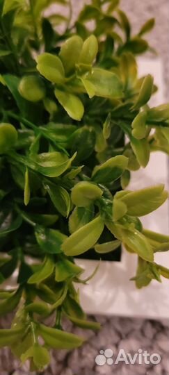 Настенное панно декоративное