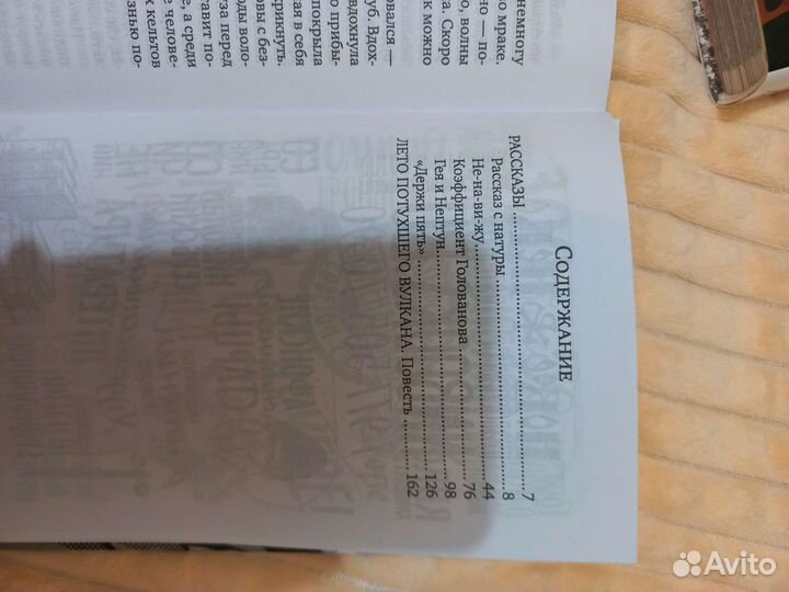 Книга лето потухшего вулкана