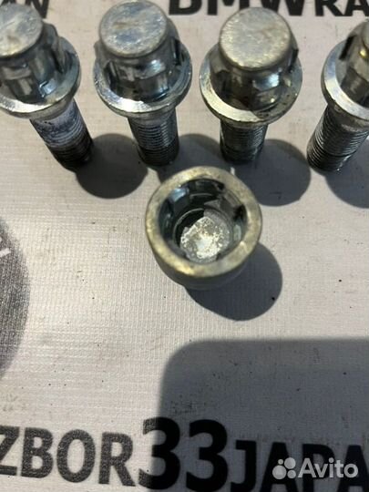 Болт секретка Bmw Е53 кросовер N62B44 2004