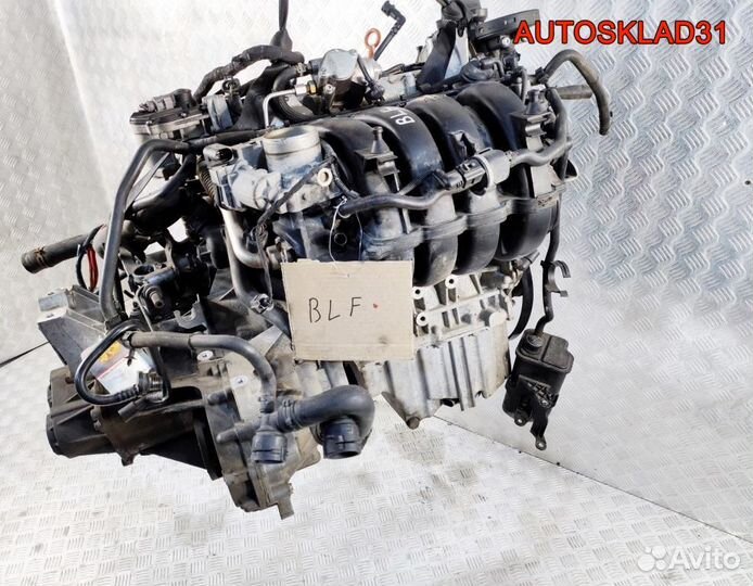 Двигатель BLF Volkswagen Passat B6 1.6 Бензин