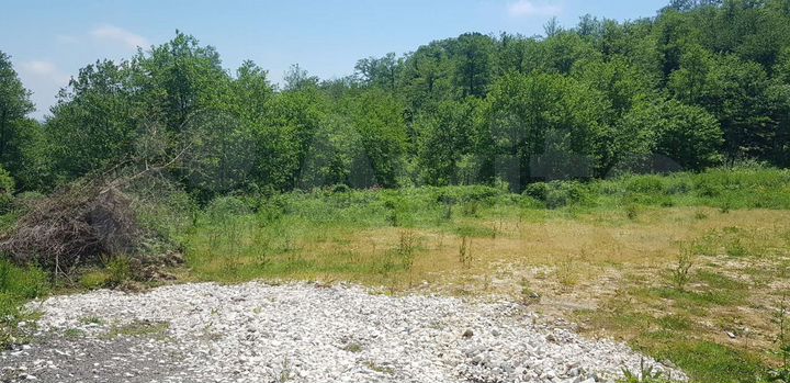 Участок 5,5 сот. (ИЖС)