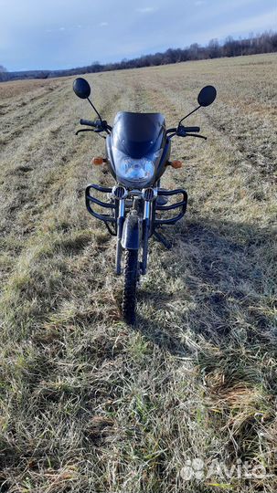 Мопед Альфа рейсталинг Пегас