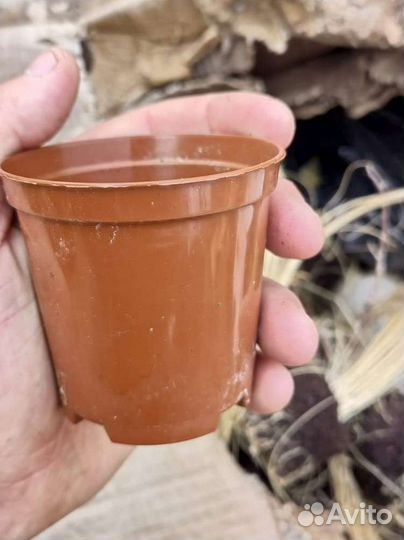 Стаканчики для рассады