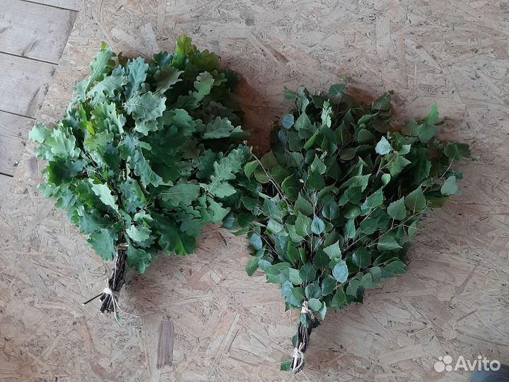 Веники дубовые