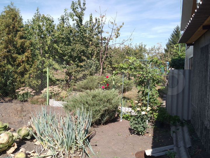 Дом 47 м² на участке 16 сот.