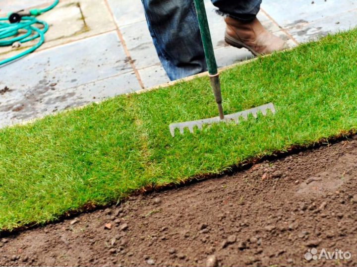 Газон рулонный гарантия