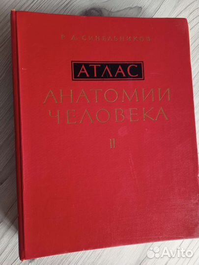 Атлас анатомии человека Синельников
