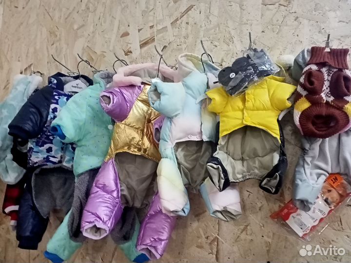 Одежда для маленьких собак