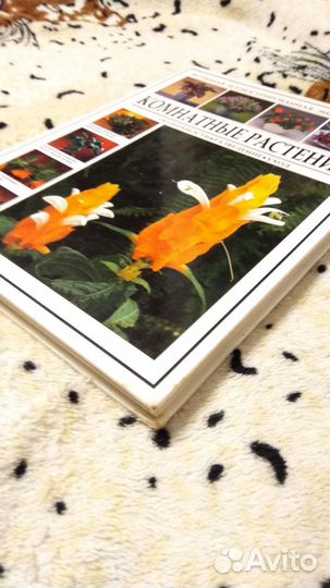 Что мы видели в США и Канаде 1957 г.СССР - США1961