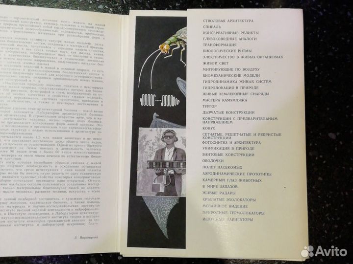 Набор открыток 1981 год