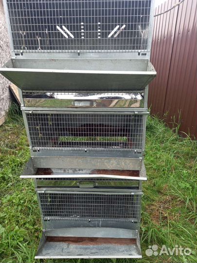 Перепелиные Клетка