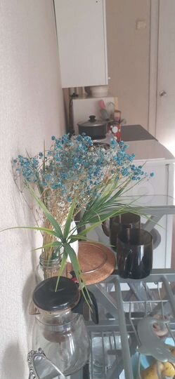 Комната 10,3 м² в 1-к., 4/4 эт.