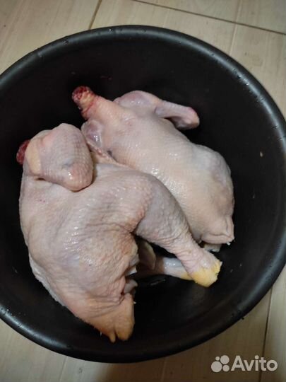 Мясо утки, мясо Цыплят бройлеров