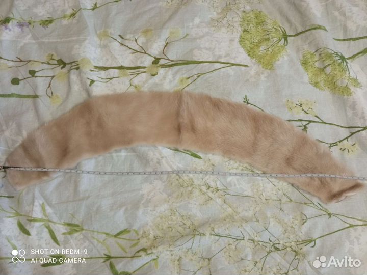 Шкурка животного