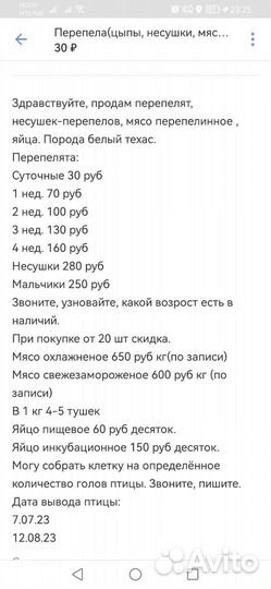 Перепела, перепелята, яйца, мясо перепелинное