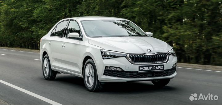 Багажник ED на крышу Skoda Rapid