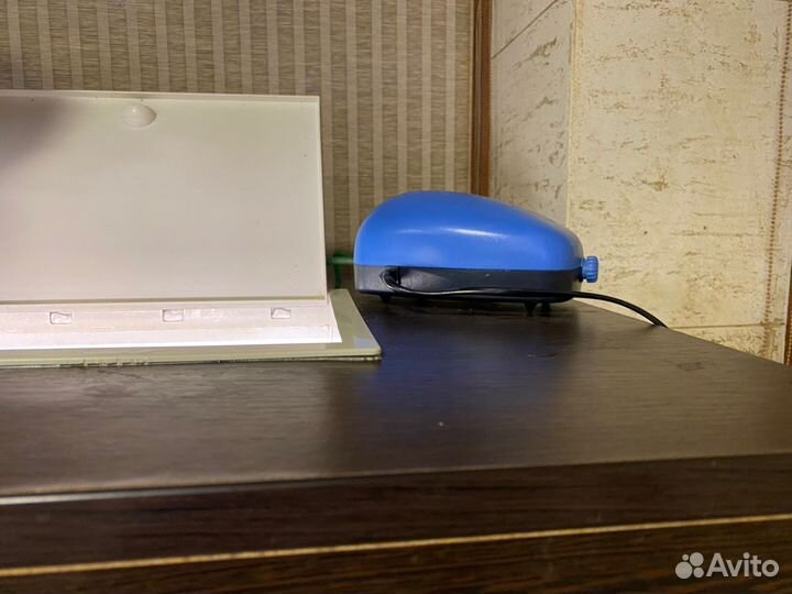 Украшения для акваурима