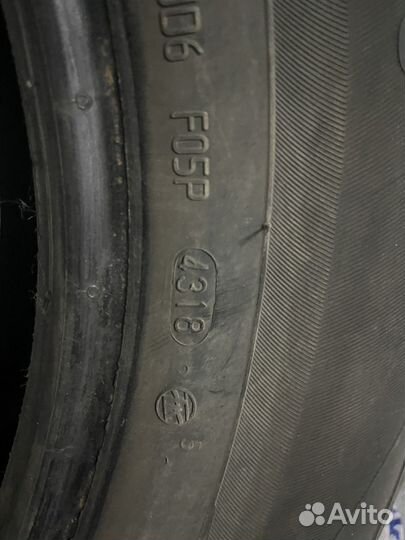 Viatti Bosco Nordico V-523 205/65 R16