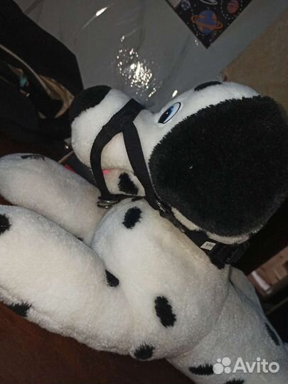 Тренировочный намордник/халти/недоуздок