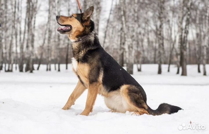 Лия хочет быть любимой