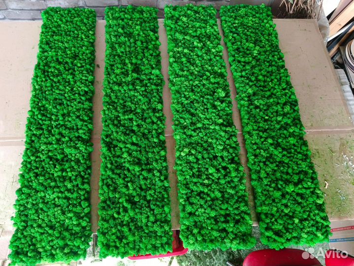 Панно из стабилизированного мха, продажа мха