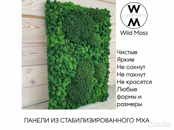 Панели из стабилизированного мха