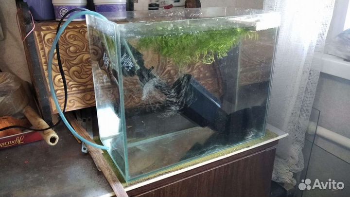 Аквариум