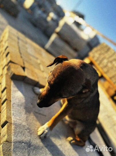 Брусчатка по госту минимальный объем 120 м2