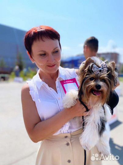 Бивер вязка